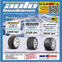 anunturi Auto Business